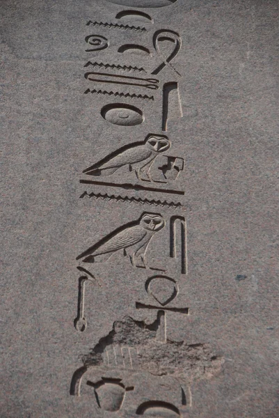 Mısır işareti — Stok fotoğraf