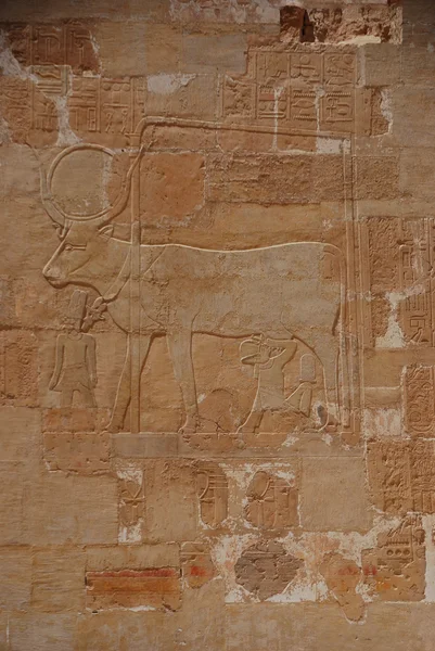 이집트에 있는 돌의 벽 — 스톡 사진