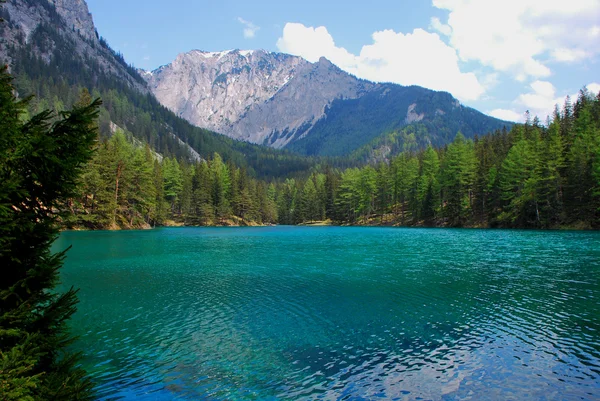 Lago verde com montanha — Fotografia de Stock