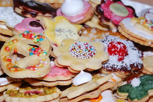 stock image Biscuit in the winter