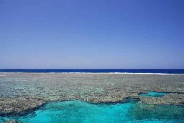 Mercan kayalığı görüntüle — Stok fotoğraf