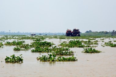 Mekong delta clipart