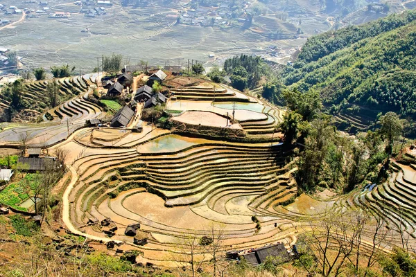 Dorf und Reisfelder — Stockfoto