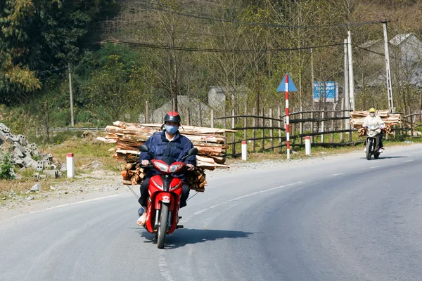 stock image Wood transportation