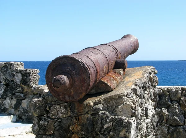 Cannon — Stock Photo, Image