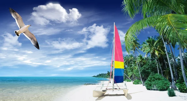 Tropical beach and sailing boat — Stock Photo, Image