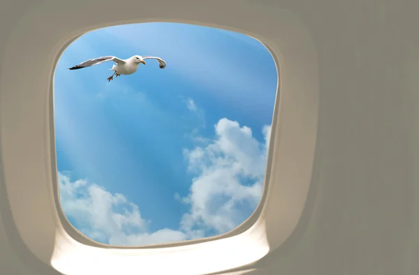 За окном самолета — стоковое фото