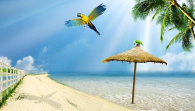 Tropical island clipart