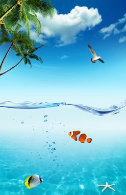 Okyanus ve tropikal balıklar