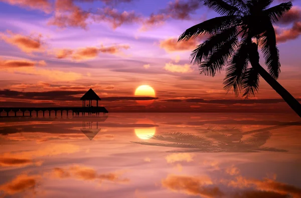 stock image Tropical sunset