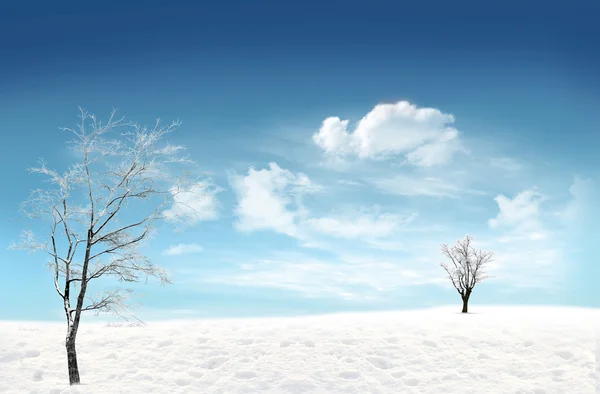 雪原 — ストック写真