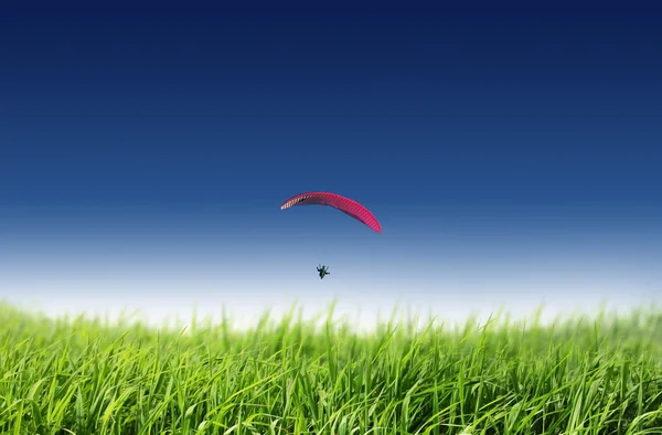 stock image Parachuting in the blue sky