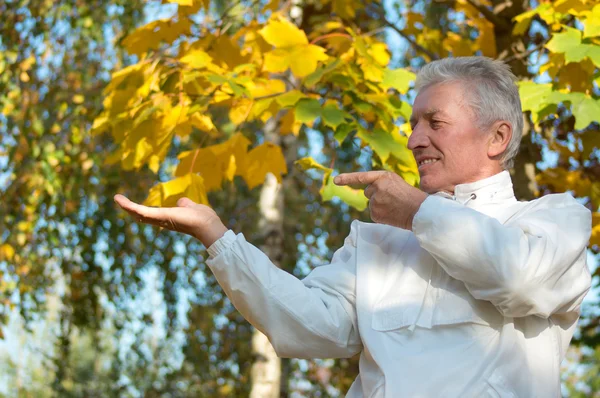 Old guy at autumn park — Stock Photo, Image