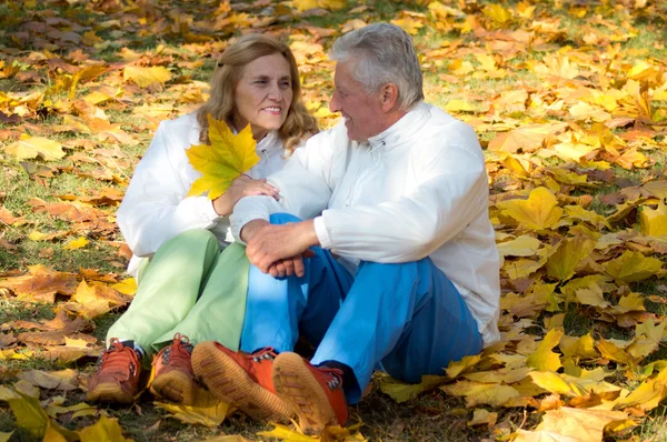 Idős házaspár ül a levelek — Stock Fotó