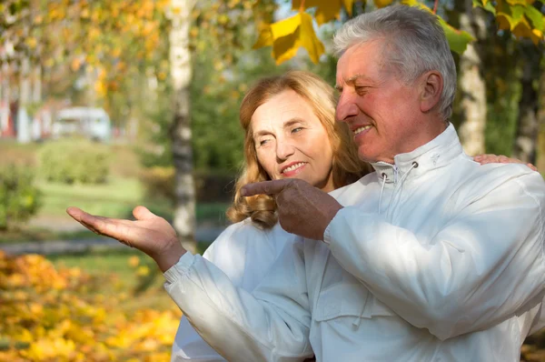 Oude paar in herfst park — Stockfoto