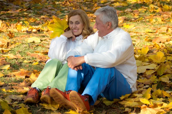 Old couple sits on leaves — Stock Photo, Image