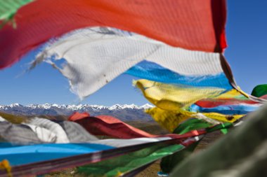 Tibet: tibetan prayer flags clipart