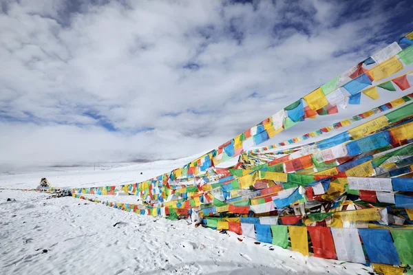 西藏: 经幡 — 图库照片