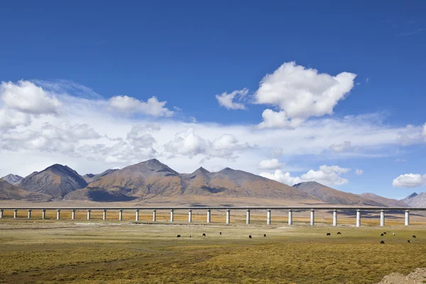 Tibet: railroad bridge on the tibetan plateau — Stock Photo, Image