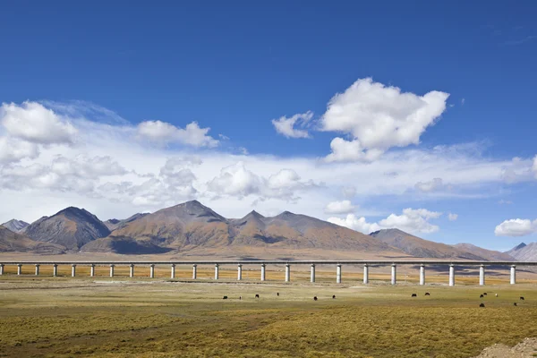 Tibet: Demiryolu köprüsü üzerinde Tibet platosu