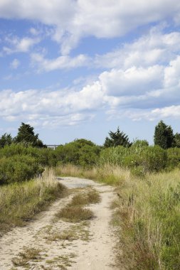 Cape cod: ülke toprak yol