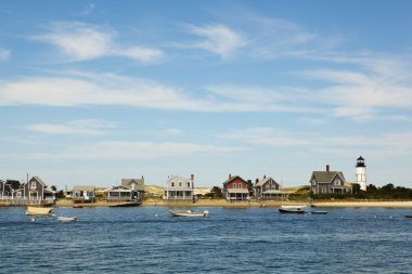 Cape cod: houses by the sea clipart