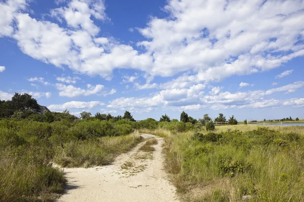 stock image Cape cod: country dirt road