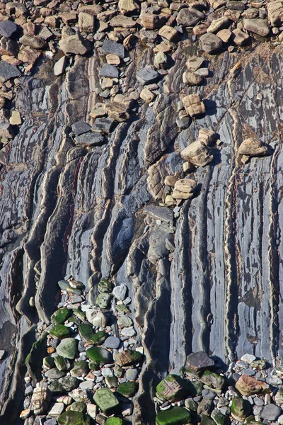 Flysch. — Fotografia de Stock