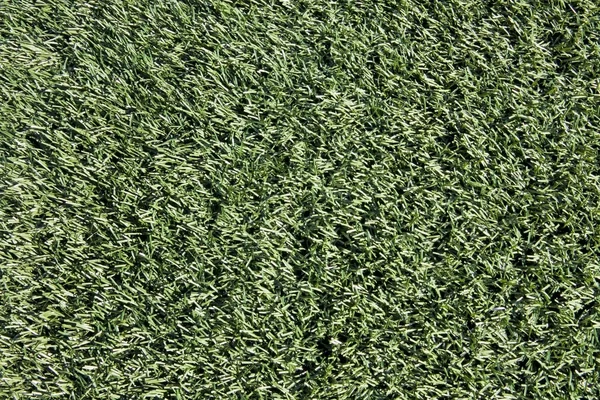 Primo piano di tappeto erboso artificiale sul campo sportivo — Foto Stock