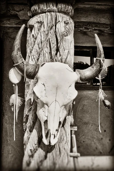 Cráneo de vaca Fotos de stock libres de derechos
