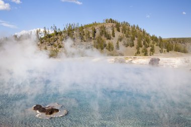 Excelsior geyser pool clipart