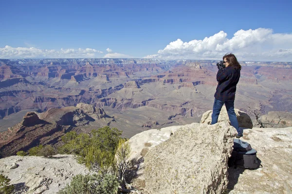 Grand Canyon Fotografer — Stok Foto