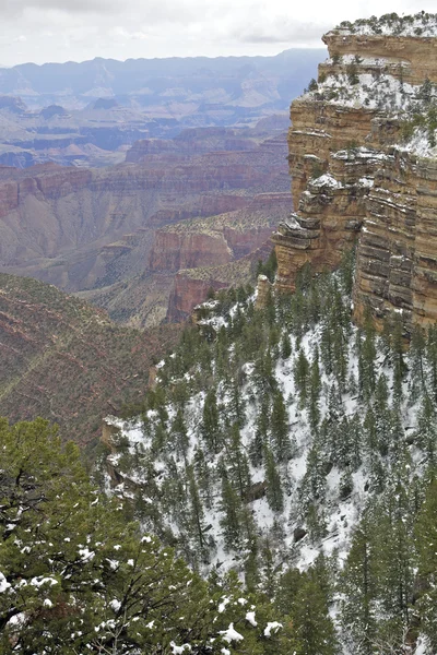 Widok perspektywiczny zimowe Grand canyon — Zdjęcie stockowe