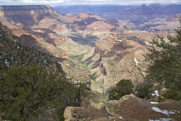 Grand Canyon Vista — Stock Photo, Image