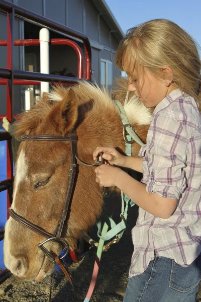 Meisje zetten hoofdstel op pony — Stockfoto