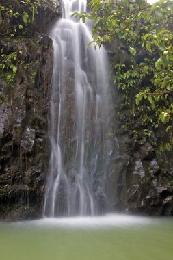 Maui Waterfall clipart