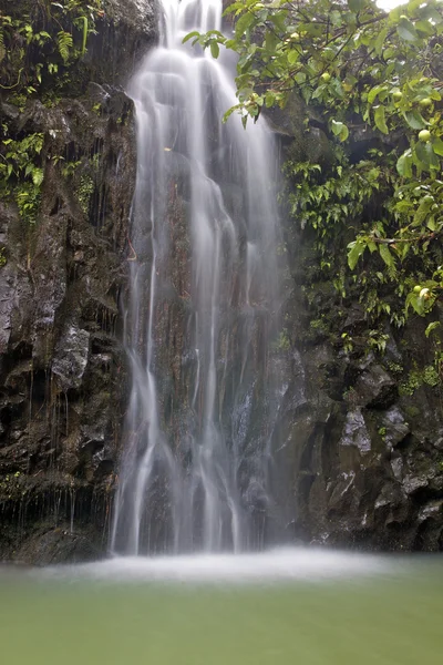 Maui-Wasserfall — Stockfoto