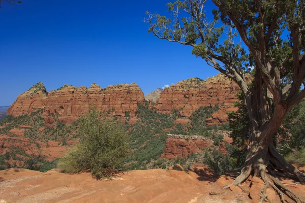 Červená rock země sedona arizona — Stock fotografie