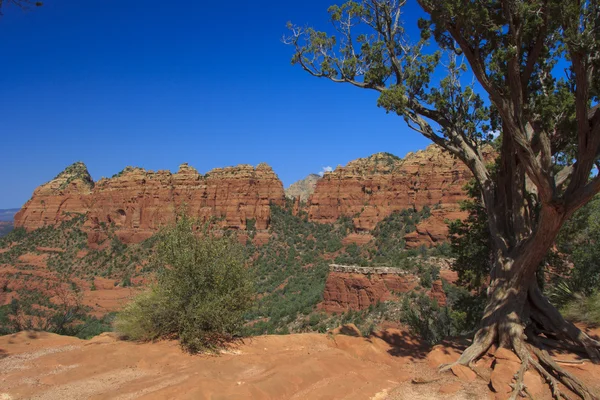 Red Rock Country Sedona Arizona — Foto Stock