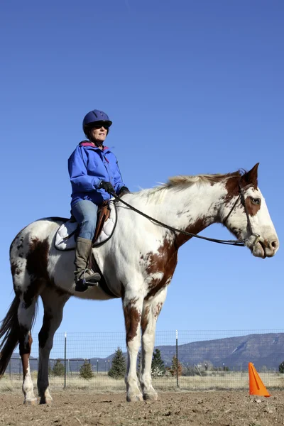 ペンキの馬およびトレーナー — ストック写真