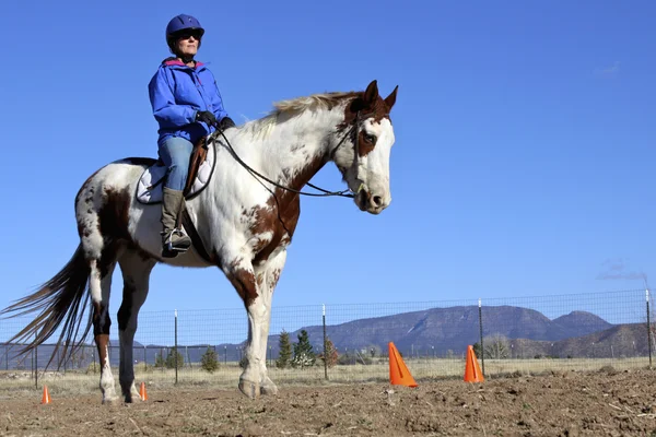 Pferd und Trainer malen — Stockfoto