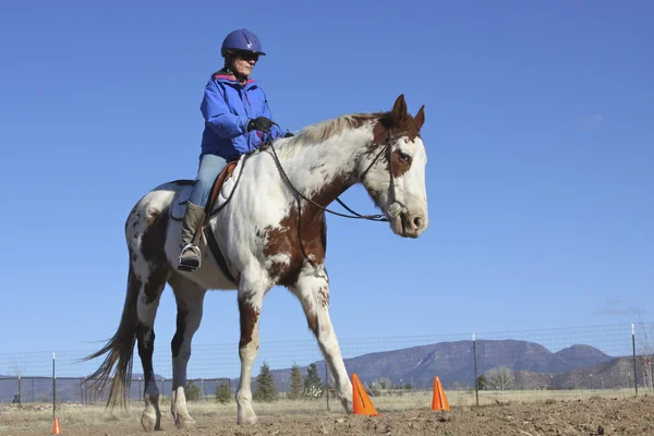 Paard van de verf en trainer — Stockfoto