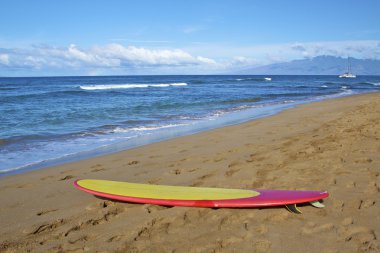 Kumda sörf tahtası