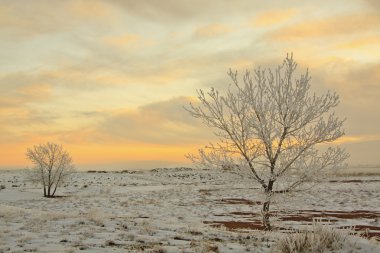 Frosty Morning Sunrise clipart