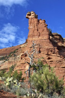 Boynton Kanyon vista sedona arizona