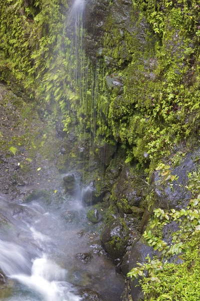 Водопад Мауи — стоковое фото