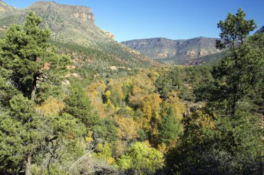 Oak creek Güz kanyonda