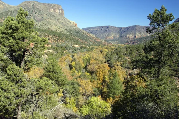 Oak creek canyon in de herfst — Stockfoto