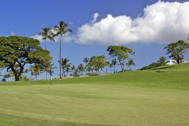 Maui golf yeşil