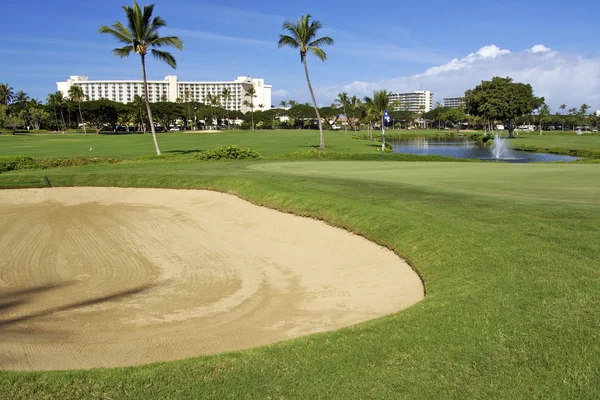 Golf on Maui — Stock Photo, Image